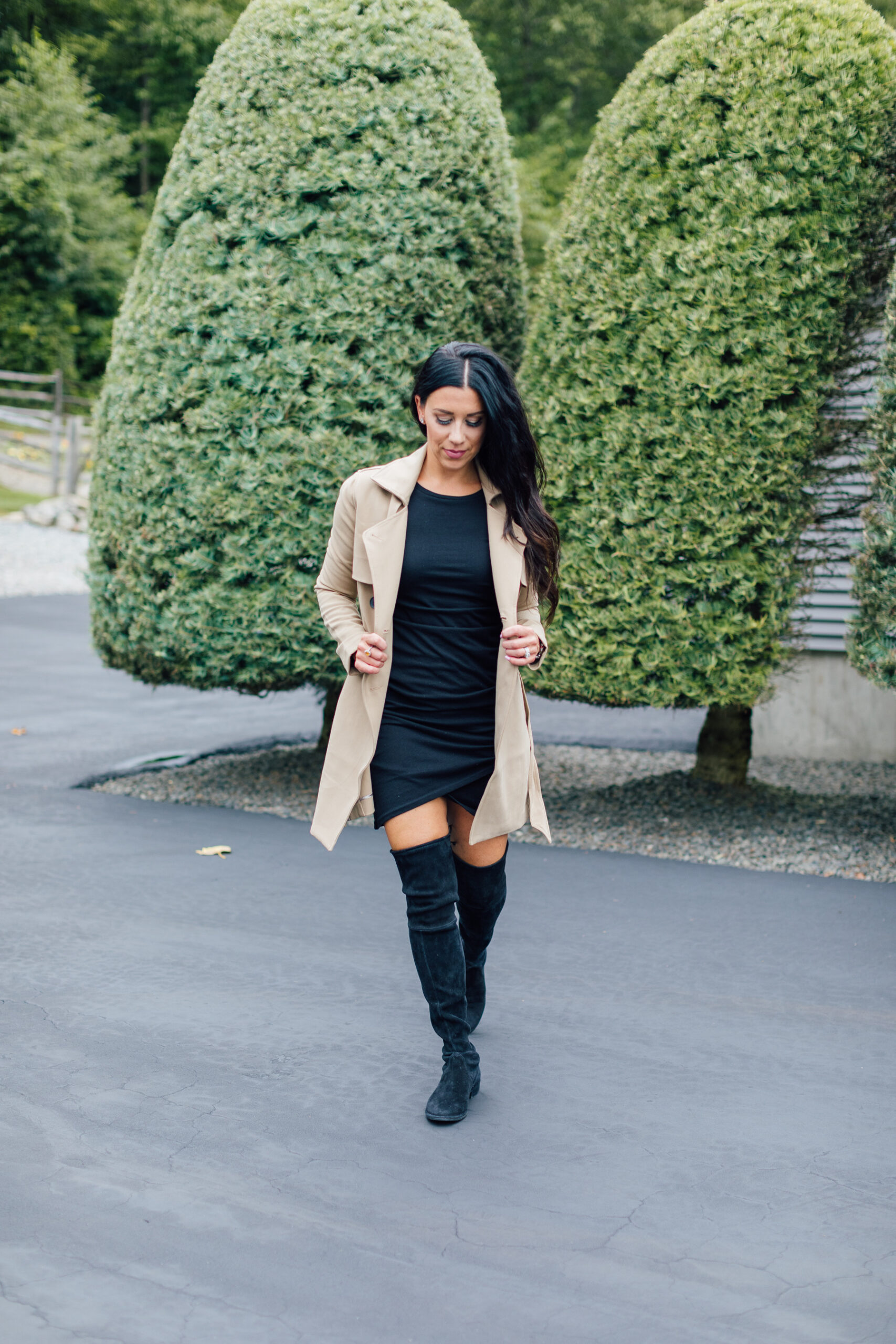 woman wearing brown coat and black dress from Coats for This Fall and Winter