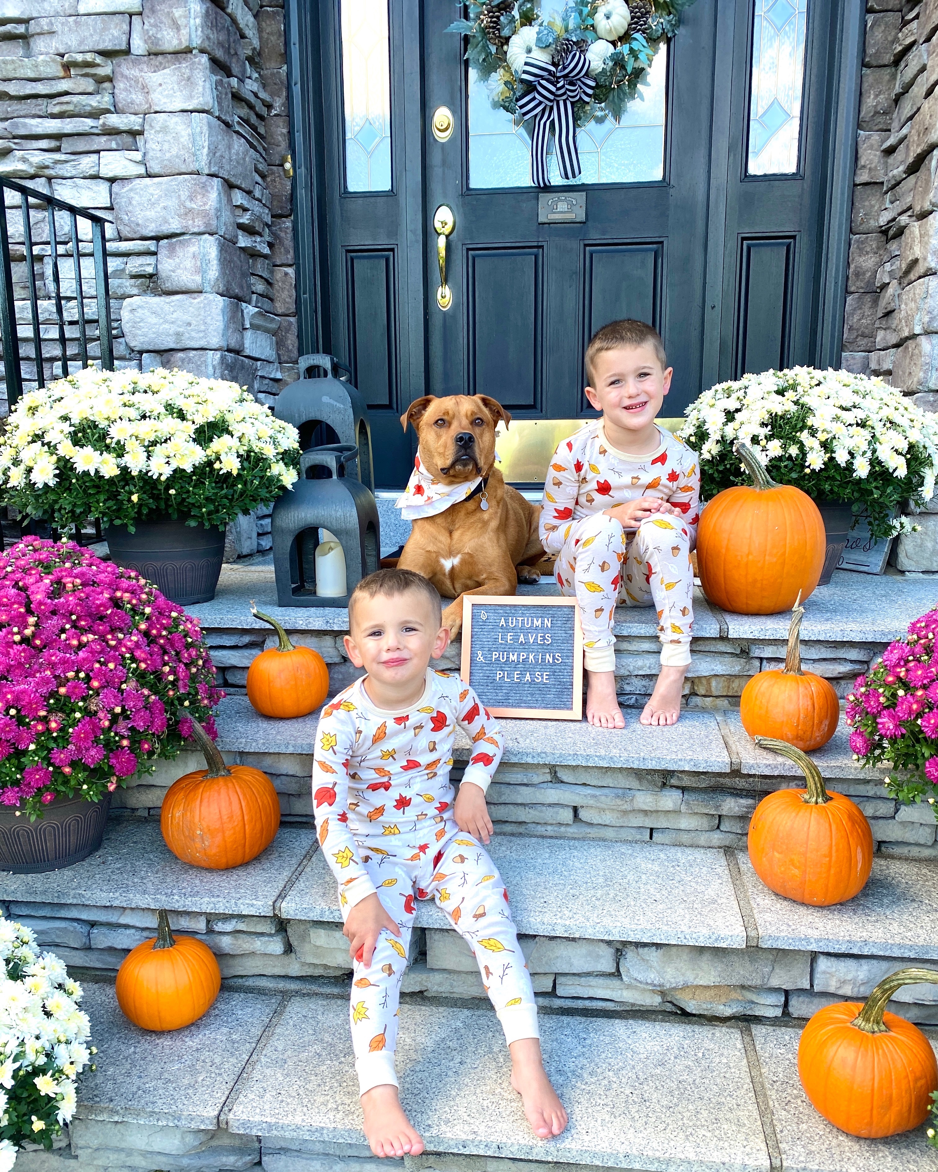 My Fall Decor with pumpkins and kids sitting on the stairs with their dog